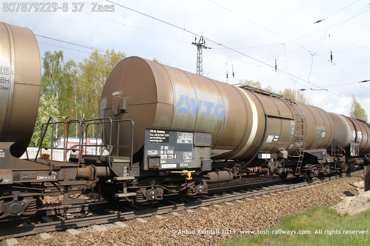807879229-8_37  Zaes.JPG